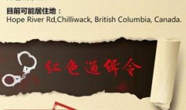 藏身处最新爆料,揭秘神秘藏身之地最新动态